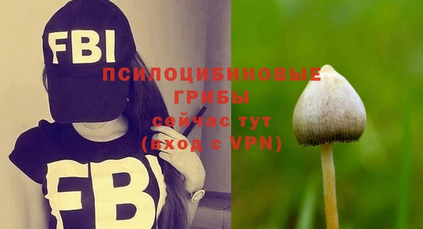синтетический гашиш Пестово