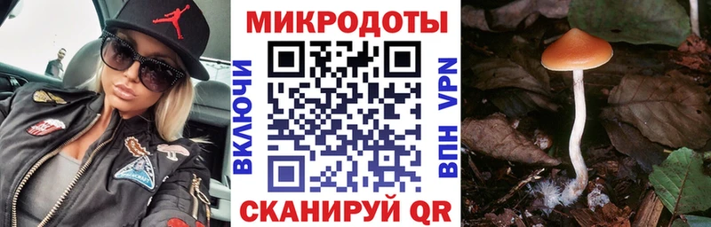 Псилоцибиновые грибы прущие грибы Ялта